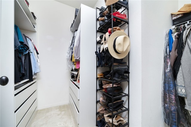 4160 S Bodega Way Unit 2, Ontario, CA 91761 - spacious closet with light carpet