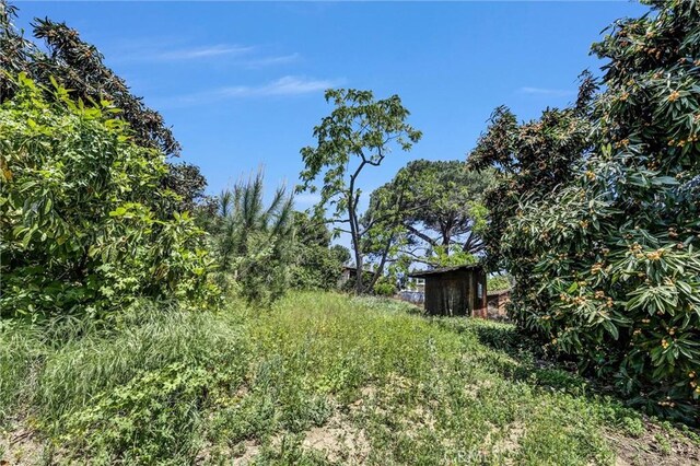 2310 Las Palomas Dr, La Habra Heights, CA 90631 - view of yard