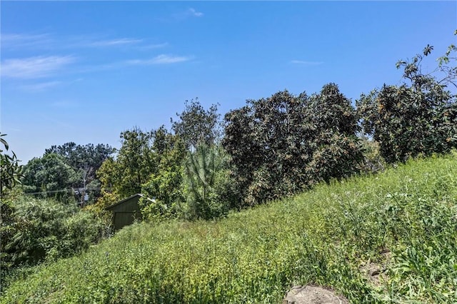 2310 Las Palomas Dr, La Habra Heights, CA 90631 - view of local wilderness