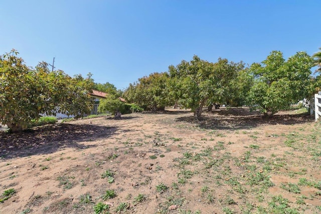 3612 Palomar Dr, Fallbrook, CA 92028 - view of yard featuring a rural view