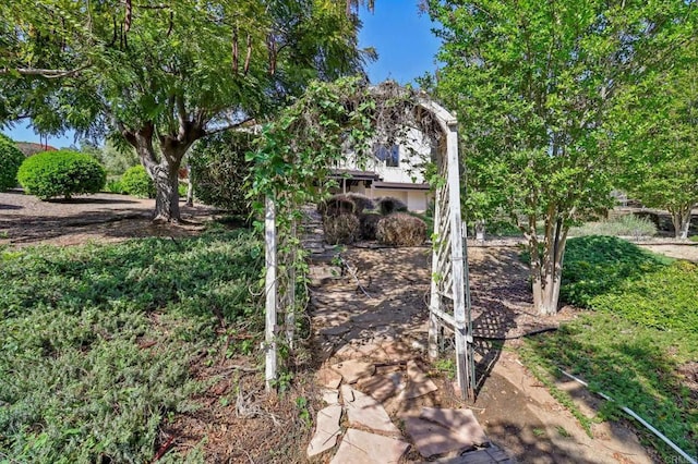 3612 Palomar Dr, Fallbrook, CA 92028 - view of yard