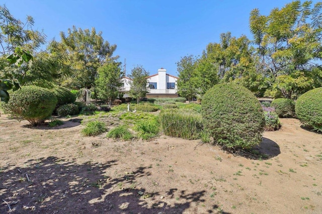 3612 Palomar Dr, Fallbrook, CA 92028 - view of yard