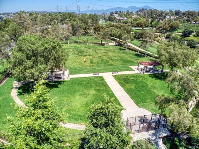 aerial view