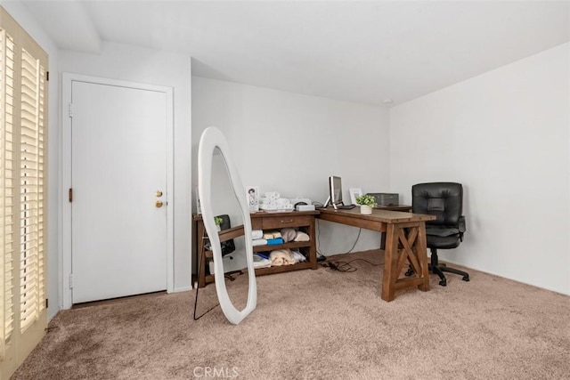 office space featuring carpet floors