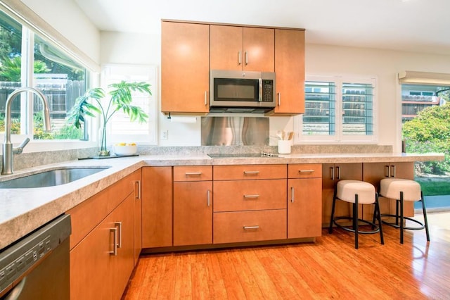 kitchen featuring appliances with stainless steel finishes, a sink, plenty of natural light, and light wood finished floors