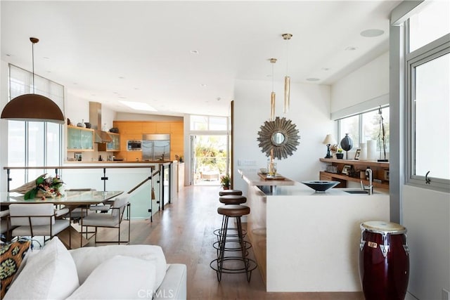 bar with pendant lighting, built in appliances, wood finished floors, island range hood, and a sink