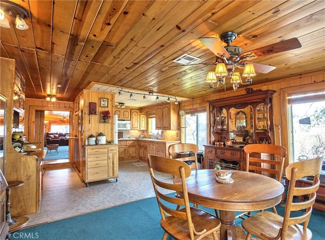 58111 Bonita Vista Rd, Mountain Center, CA 92561 - photo 47