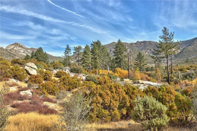 58111 Bonita Vista Rd, Mountain Center, CA 92561 - photo 4