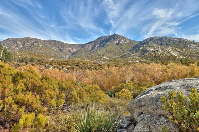 58111 Bonita Vista Rd, Mountain Center, CA 92561 - photo 74