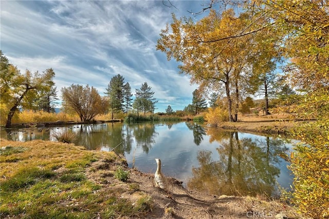 58111 Bonita Vista Rd, Mountain Center, CA 92561 - photo 75