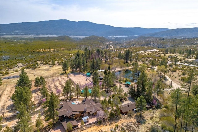 58111 Bonita Vista Rd, Mountain Center, CA 92561 - photo 5