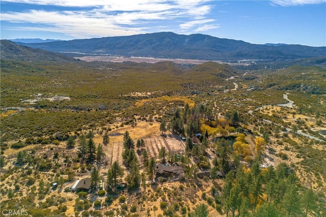 58111 Bonita Vista Rd, Mountain Center, CA 92561 - photo 73