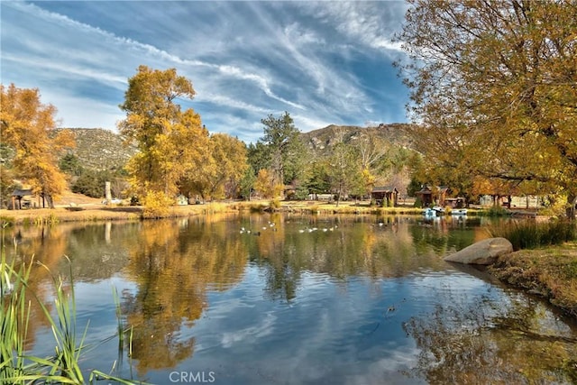 58111 Bonita Vista Rd, Mountain Center, CA 92561 - photo 2