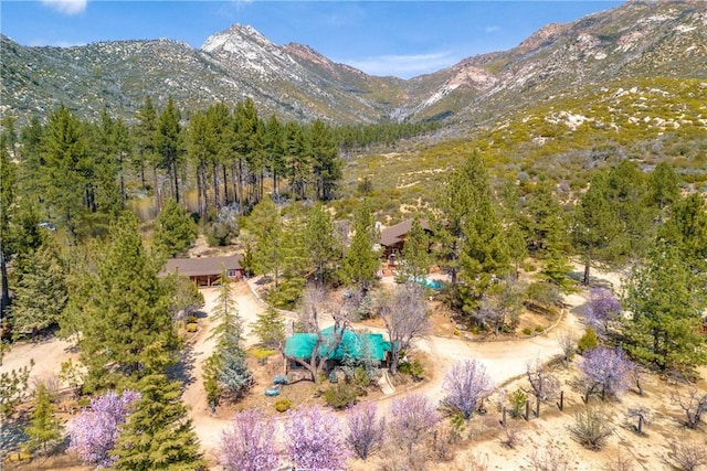 58111 Bonita Vista Rd, Mountain Center, CA 92561 - photo 56