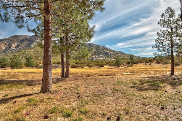 58111 Bonita Vista Rd, Mountain Center, CA 92561 - photo 60
