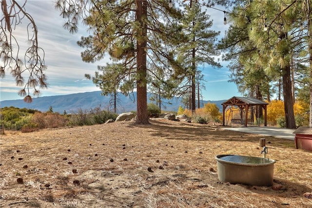 58111 Bonita Vista Rd, Mountain Center, CA 92561 - photo 65
