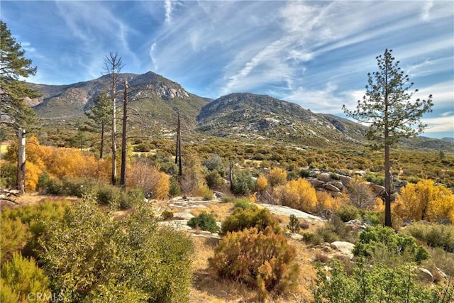 58111 Bonita Vista Rd, Mountain Center, CA 92561 - photo 58