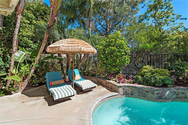 view of pool with a fenced backyard, a patio area, and a fenced in pool