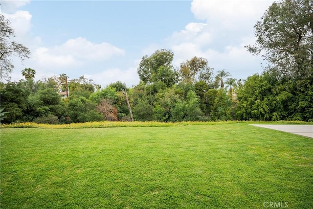 view of yard