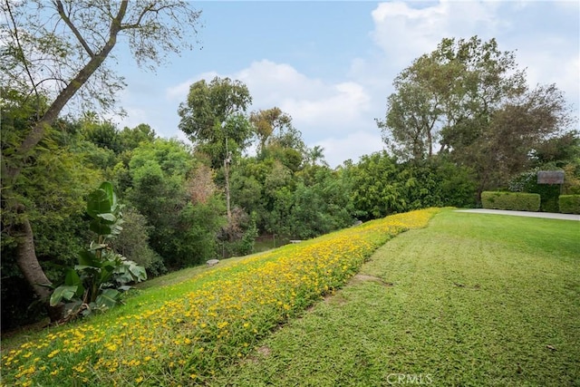 view of yard