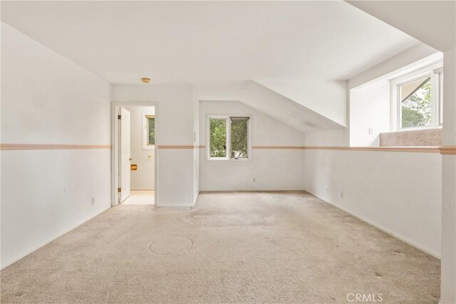 bonus room featuring carpet and a wealth of natural light