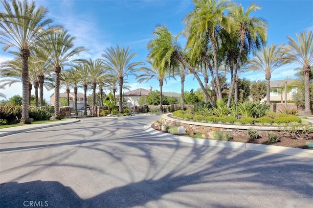 1711 Colina Terrestre, San Clemente, CA 92673 - view of asphalt road