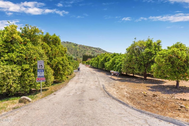 view of road featuring a mountain view and a rural view