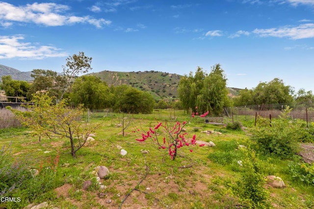 1526 Grand Ave, Fillmore, CA 93015 - view of yard with a mountain view