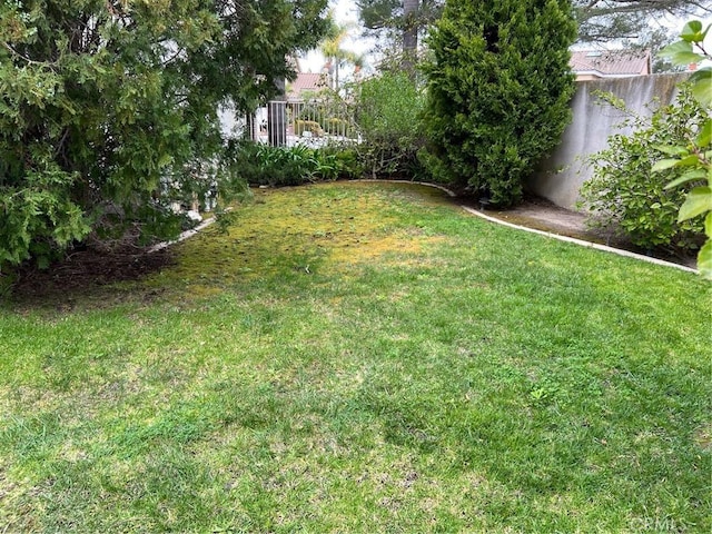 view of yard