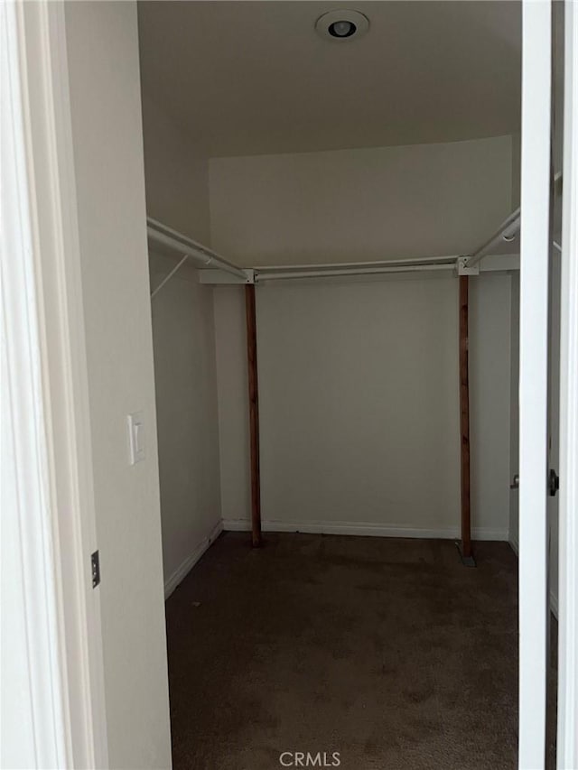 spacious closet with carpet flooring