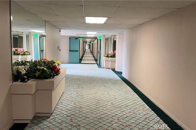 hallway with baseboards, carpet flooring, and a drop ceiling