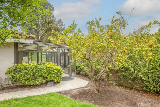 view of yard featuring a sunroom