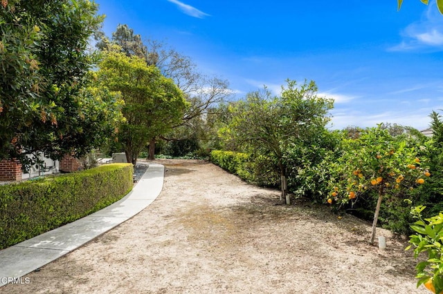 1530 Calle Portada, Camarillo, CA 93010 - view of surrounding community