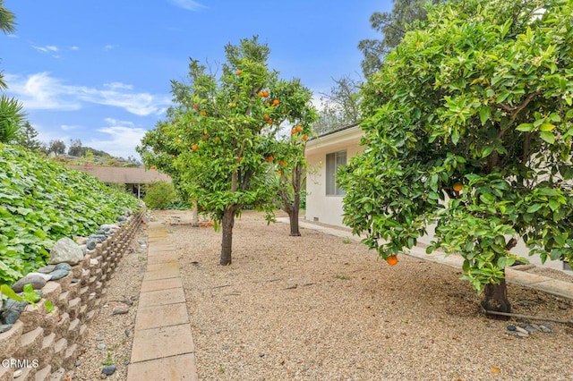 1530 Calle Portada, Camarillo, CA 93010 - view of yard