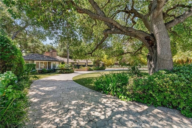 28 W Sycamore Ave, Arcadia, CA 91006 - view of property's community