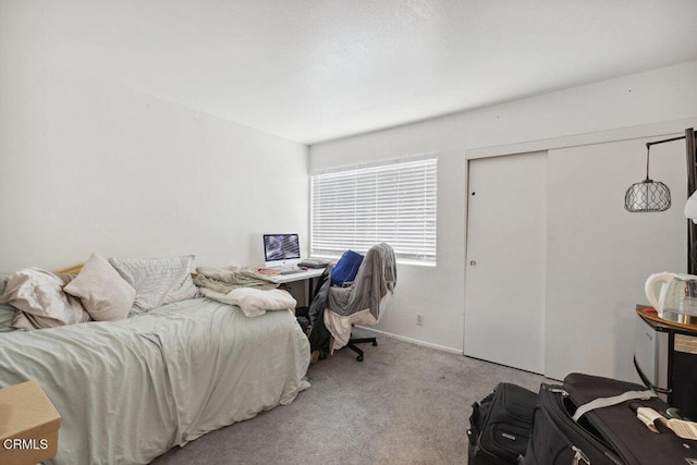 bedroom with a closet and carpet