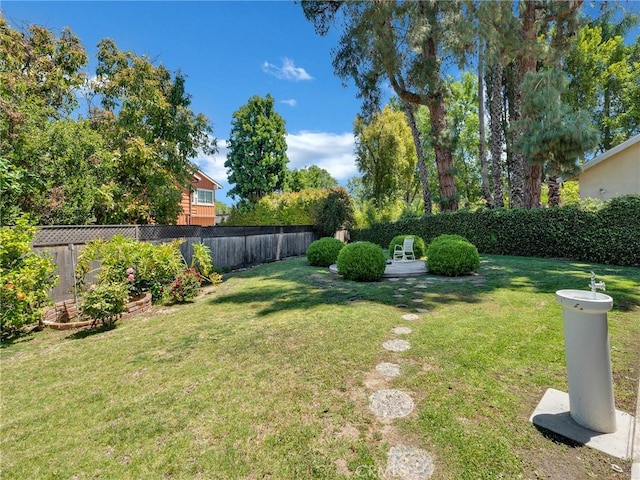 view of yard