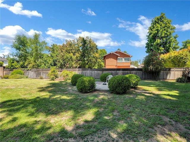 view of yard with a patio area