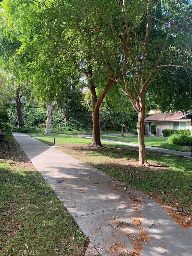 61 Calle Cadiz Unit Q, Laguna Woods, CA 92530 - surrounding community with a lawn