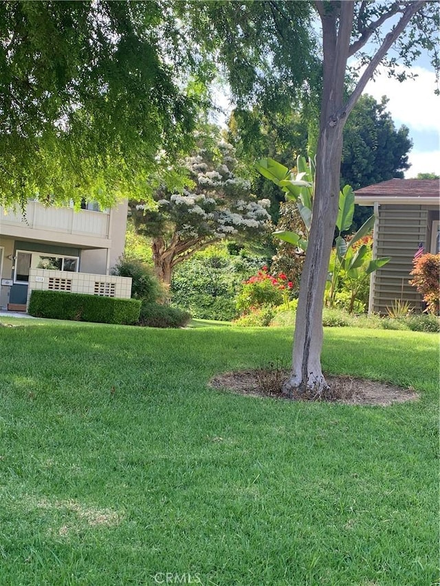 61 Calle Cadiz Unit Q, Laguna Woods, CA 92530 - view of grassy yard