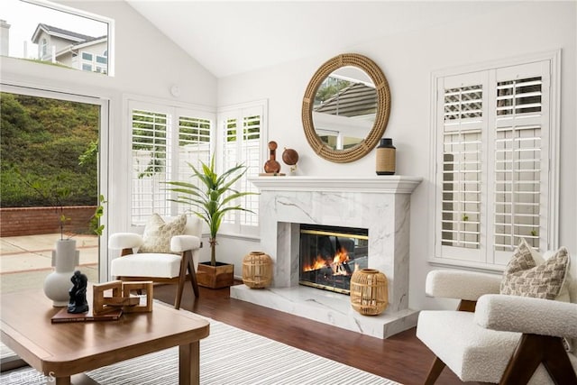 2122 Via Aguila, San Clemente, CA 92673 - living area featuring a high end fireplace, wood finished floors, plenty of natural light, and high vaulted ceiling