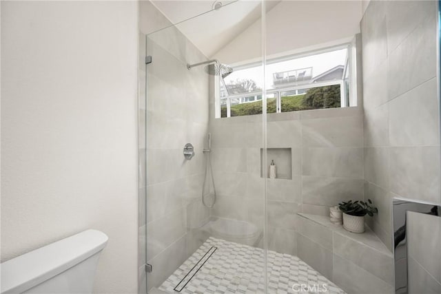 2122 Via Aguila, San Clemente, CA 92673 - full bathroom with toilet, a stall shower, and lofted ceiling