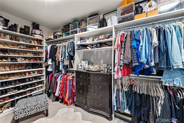 spacious closet featuring carpet flooring