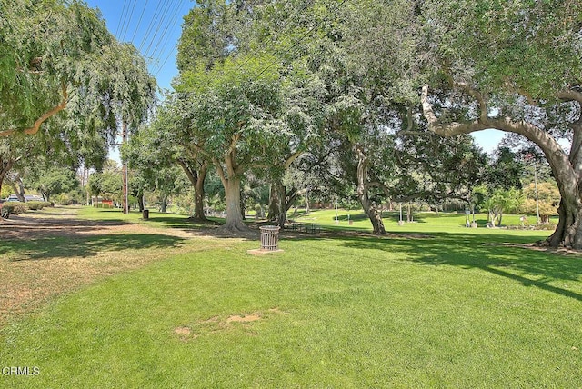 view of home's community with a yard