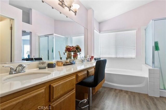 full bathroom with a shower stall, wood finished floors, a sink, and plenty of natural light