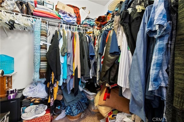 view of walk in closet