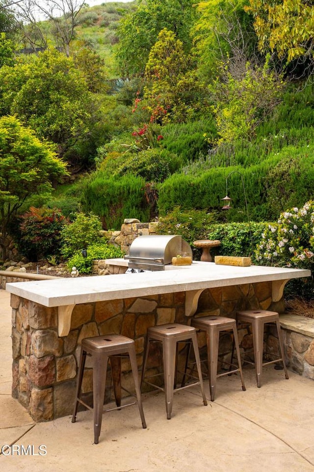 view of patio / terrace featuring exterior kitchen, grilling area, and outdoor dry bar
