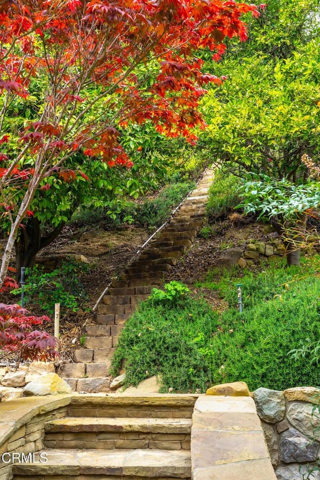 view of yard with stairway