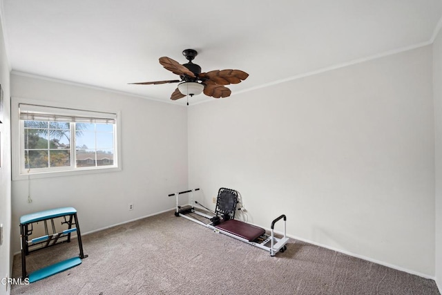 exercise room featuring a ceiling fan, carpet flooring, crown molding, and baseboards