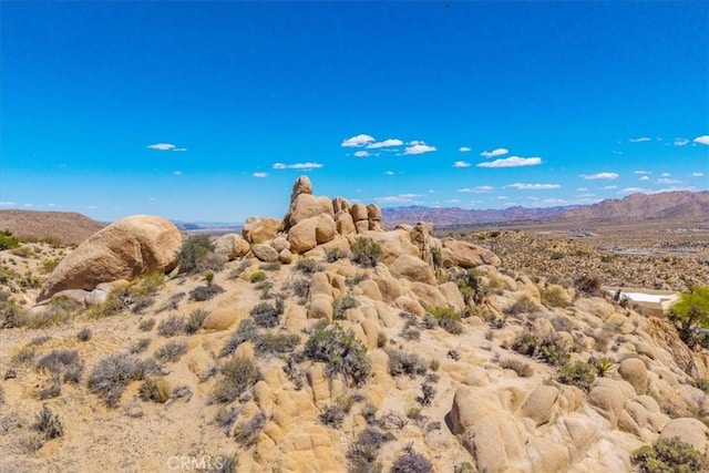 57710 Bandera Rd, Yucca Valley, CA 92284 - photo 35